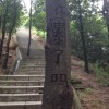 大脸猫