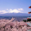 东京先生