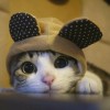 底子潮