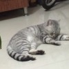 先救你妈我在游会