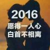 花钱月下