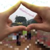 圊嗬づ淥〆洸