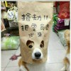 、一笑而过@