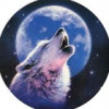 风夜