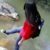 发霉啦的树
