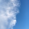 白糖
