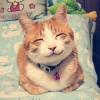 流云