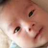 Gavin