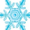 瑞雪飘