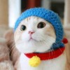 NOYES网友